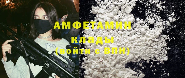 шишки Иннополис