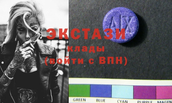 стаф Инта