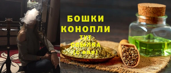 шишки Иннополис