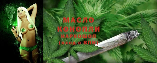 стаф Инта