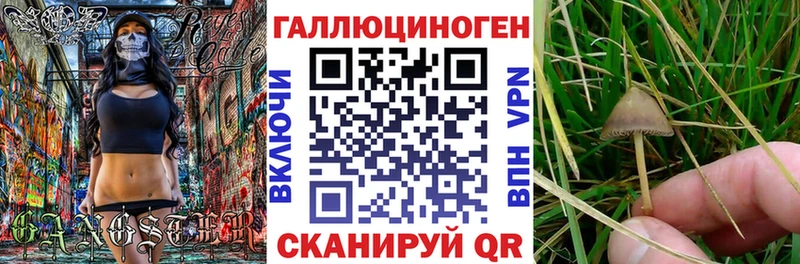 Купить закладки  Сысерть  Галлюциногенные грибы мицелий 