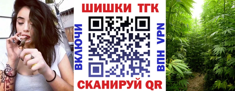 Купить где Сысерть Канабис ГИДРОПОН
